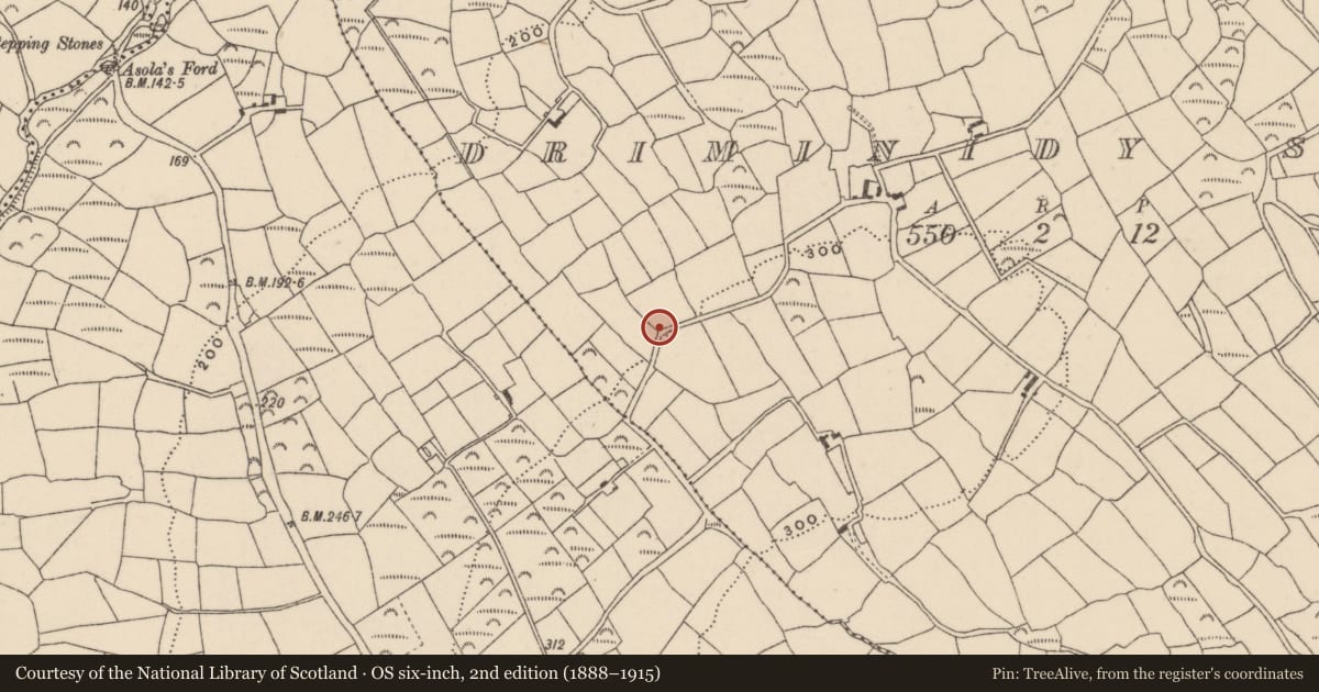 Ordnance Survey six-inch map, 2nd edition (1888–1915) covering the location of Children's burial ground, Driminidy South, County Cork, with a pin at the register's coordinates