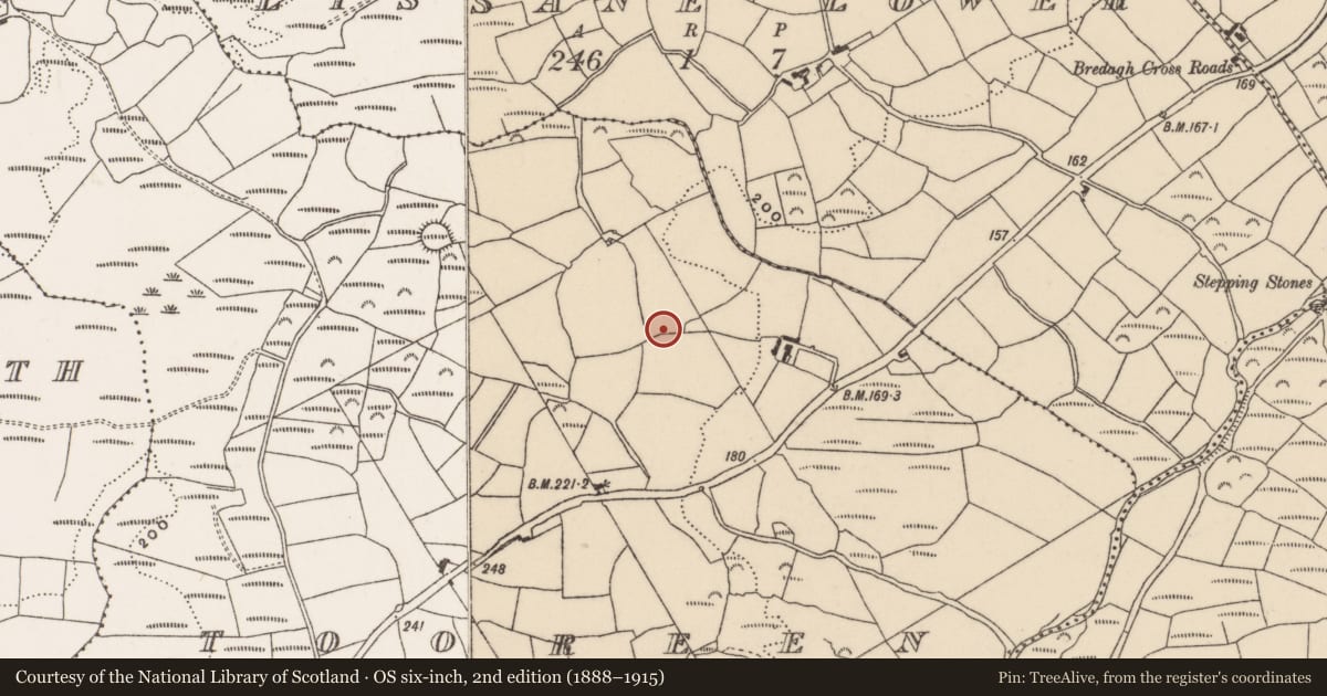 Ordnance Survey six-inch map, 2nd edition (1888–1915) covering the location of Souterrain, Tooreen, County Cork, with a pin at the register's coordinates