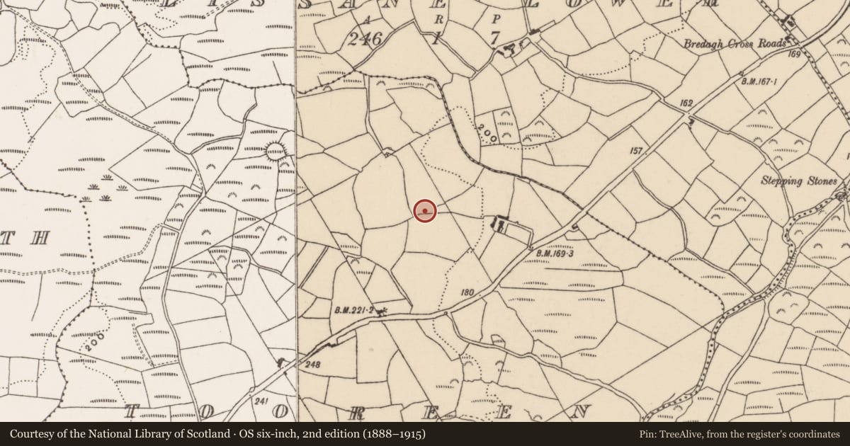 Ordnance Survey six-inch map, 2nd edition (1888–1915) covering the location of Enclosure, Tooreen, County Cork, with a pin at the register's coordinates