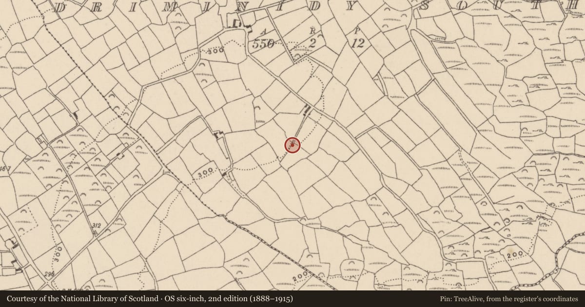 Ordnance Survey six-inch map, 2nd edition (1888–1915) covering the location of Souterrain, Driminidy South, County Cork, with a pin at the register's coordinates