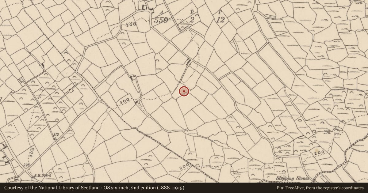 Ordnance Survey six-inch map, 2nd edition (1888–1915) covering the location of Enclosure, Driminidy South, County Cork, with a pin at the register's coordinates