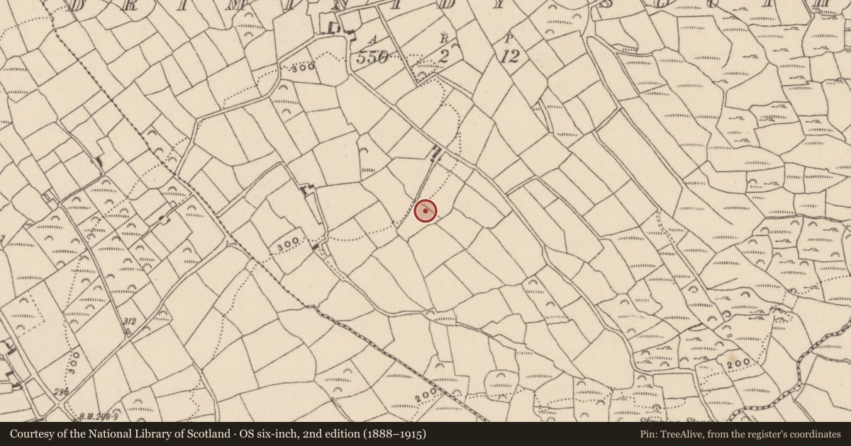 Ordnance Survey six-inch map, 2nd edition (1888–1915) covering the location of Souterrain, Driminidy South, County Cork, with a pin at the register's coordinates