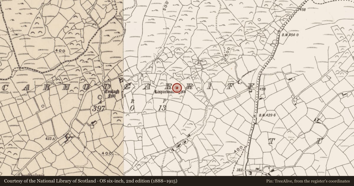 Ordnance Survey six-inch map, 2nd edition (1888–1915) covering the location of Enclosure, Carhoogarriff, County Cork, with a pin at the register's coordinates