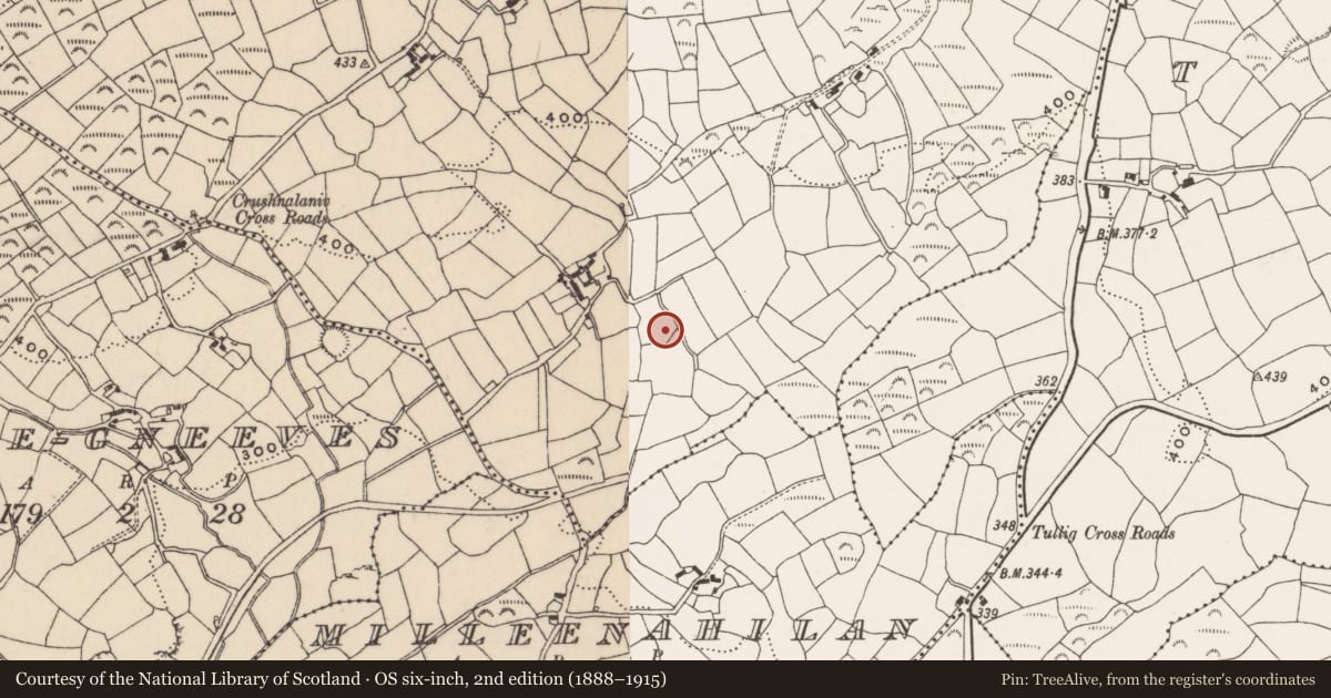Ordnance Survey six-inch map, 2nd edition (1888–1915) covering the location of Ringfort - rath, Carhoogarriff, County Cork, with a pin at the register's coordinates