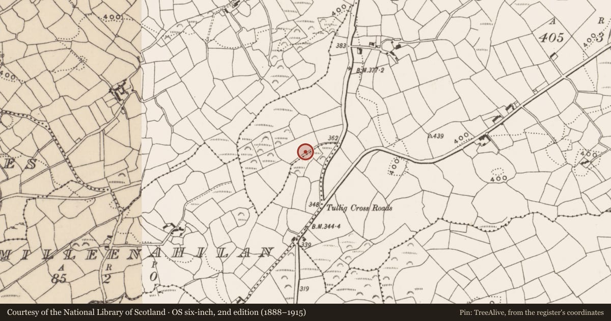 Ordnance Survey six-inch map, 2nd edition (1888–1915) covering the location of Standing stone, Tullig, County Cork, with a pin at the register's coordinates