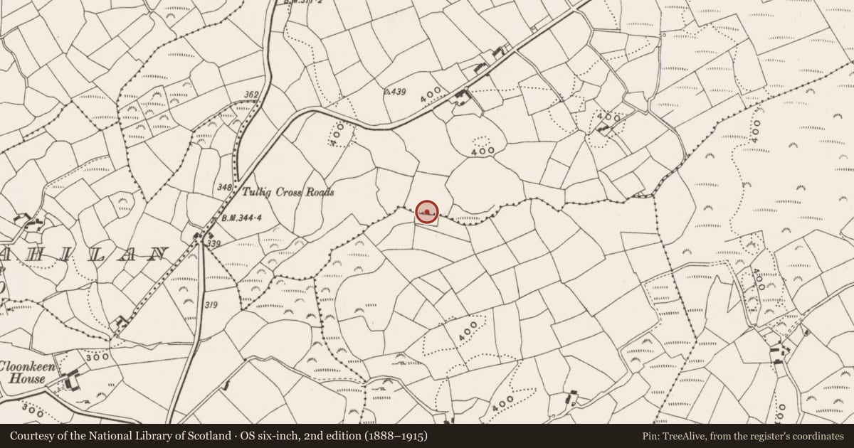 Ordnance Survey six-inch map, 2nd edition (1888–1915) covering the location of Fulacht fia, Tullig, County Cork, with a pin at the register's coordinates