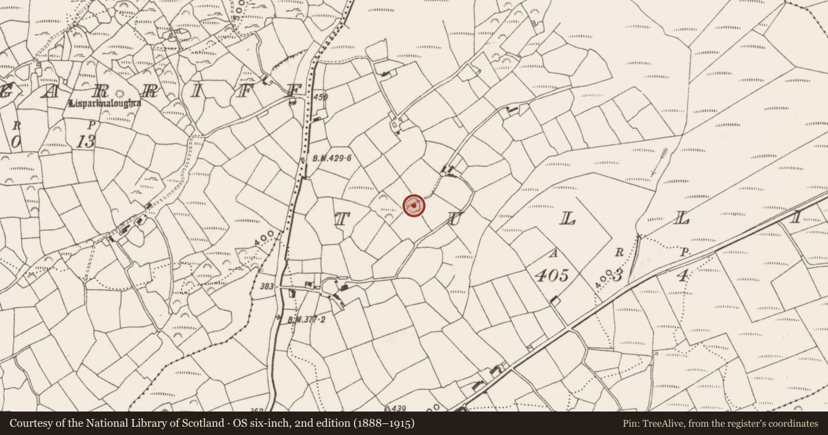 Ordnance Survey six-inch map, 2nd edition (1888–1915) covering the location of Ringfort - rath, Tullig, County Cork, with a pin at the register's coordinates