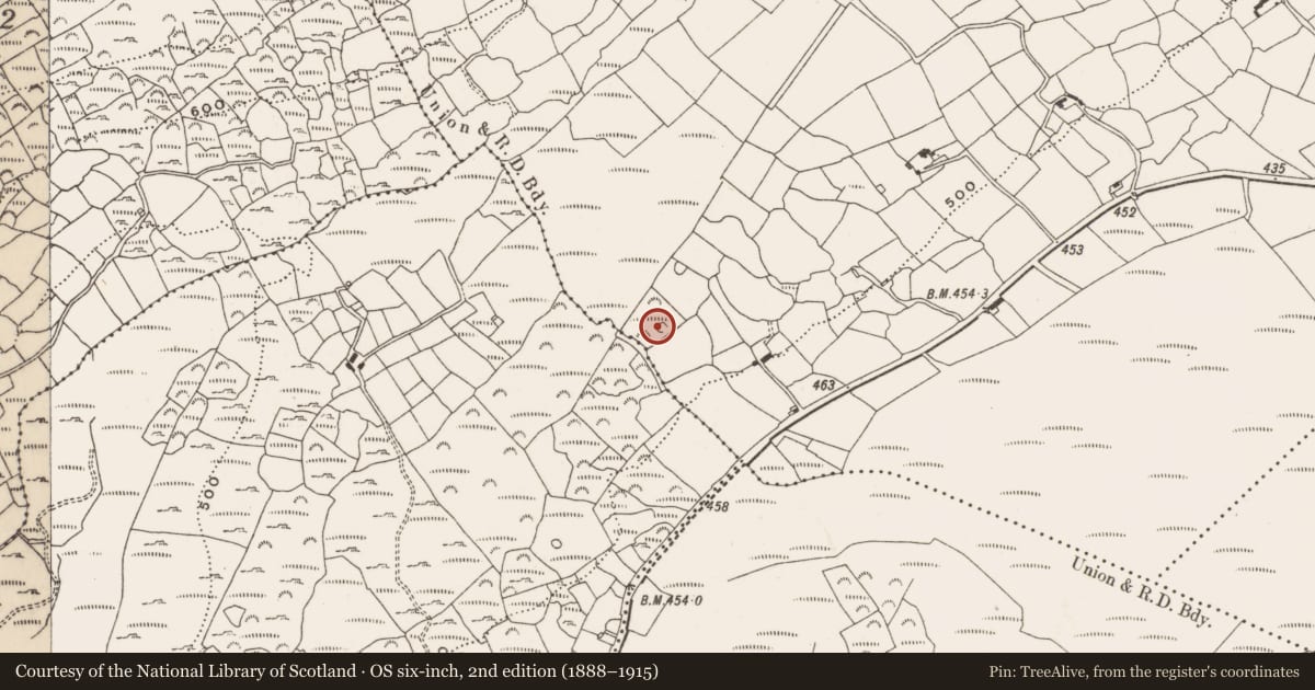 Ordnance Survey six-inch map, 2nd edition (1888–1915) covering the location of Enclosure, Carrigfadda, County Cork, with a pin at the register's coordinates