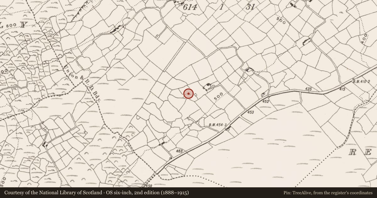Ordnance Survey six-inch map, 2nd edition (1888–1915) covering the location of Ringfort - rath, Carrigfadda, County Cork, with a pin at the register's coordinates