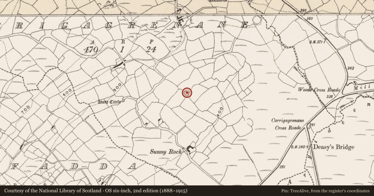 Ordnance Survey six-inch map, 2nd edition (1888–1915) covering the location of Ringfort - rath, Carrigagrenane, County Cork, with a pin at the register's coordinates