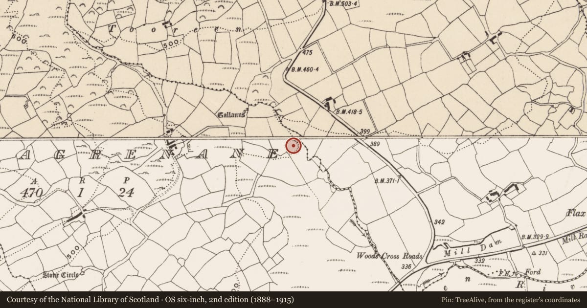 Ordnance Survey six-inch map, 2nd edition (1888–1915) covering the location of Ringfort - rath, Carrigagrenane, County Cork, with a pin at the register's coordinates