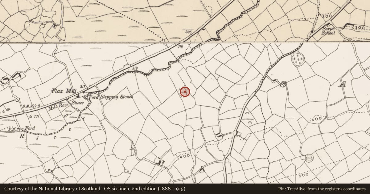 Ordnance Survey six-inch map, 2nd edition (1888–1915) covering the location of Ringfort - rath, Maulyregan, County Cork, with a pin at the register's coordinates