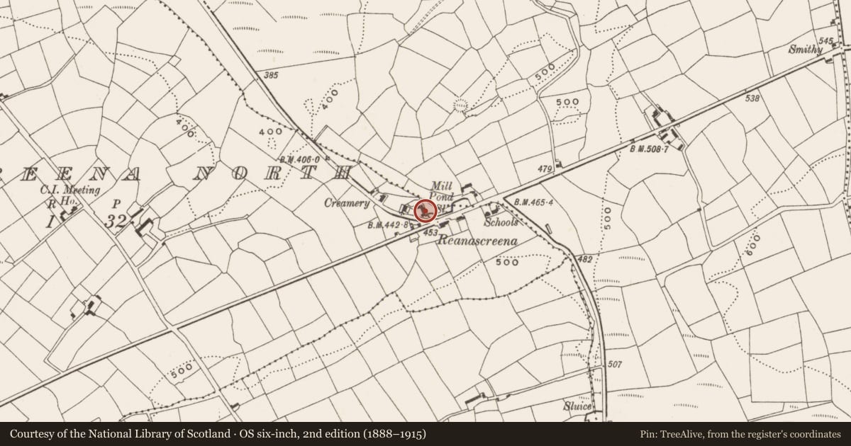Ordnance Survey six-inch map, 2nd edition (1888–1915) covering the location of Mill - woollen, Reanascreena North, County Cork, with a pin at the register's coordinates