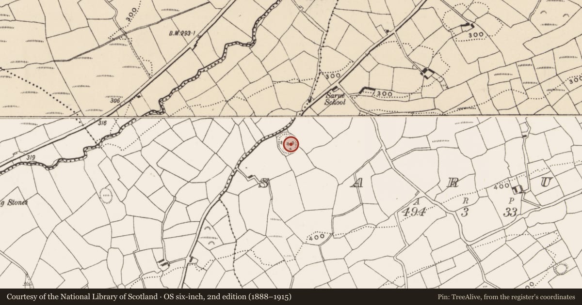 Ordnance Survey six-inch map, 2nd edition (1888–1915) covering the location of Ringfort - rath, Sarue, County Cork, with a pin at the register's coordinates