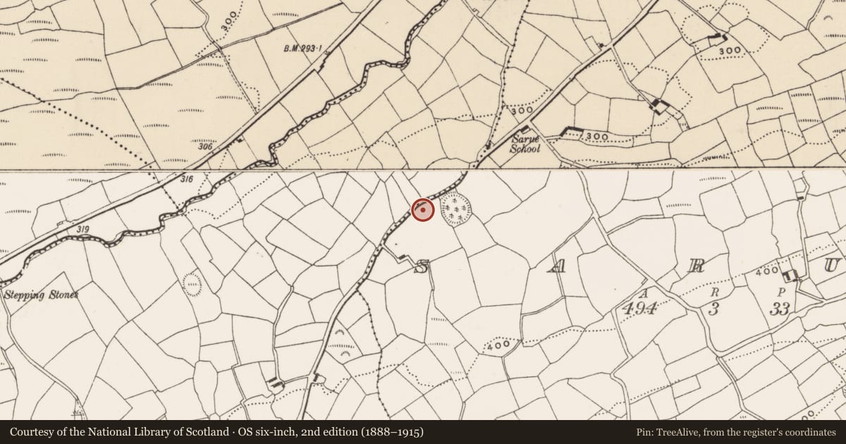 Ordnance Survey six-inch map, 2nd edition (1888–1915) covering the location of Hut site, Sarue, County Cork, with a pin at the register's coordinates