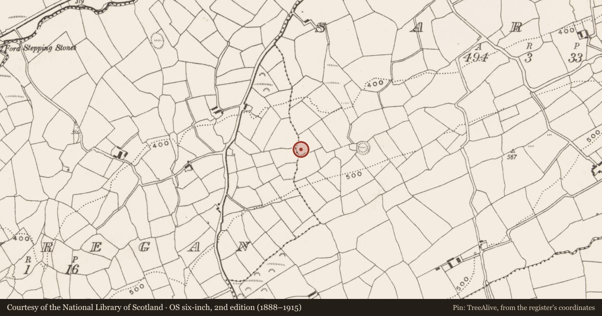 Ordnance Survey six-inch map, 2nd edition (1888–1915) covering the location of Ringfort - rath, Sarue, County Cork, with a pin at the register's coordinates