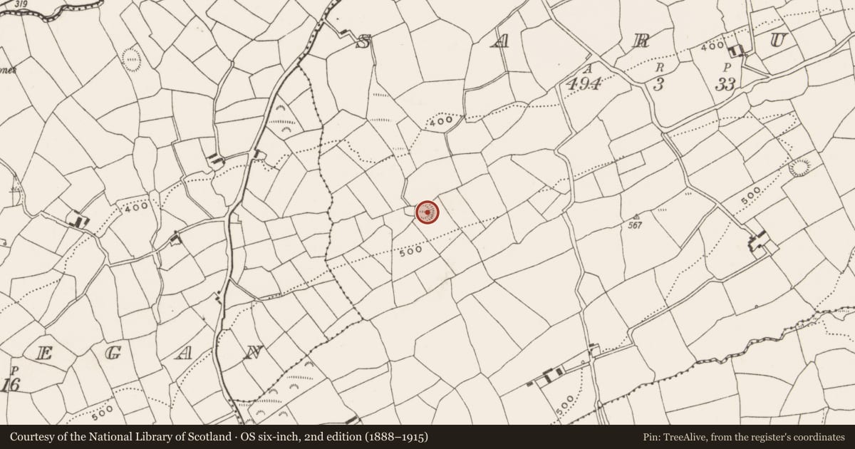 Ordnance Survey six-inch map, 2nd edition (1888–1915) covering the location of Ringfort - rath, Sarue, County Cork, with a pin at the register's coordinates