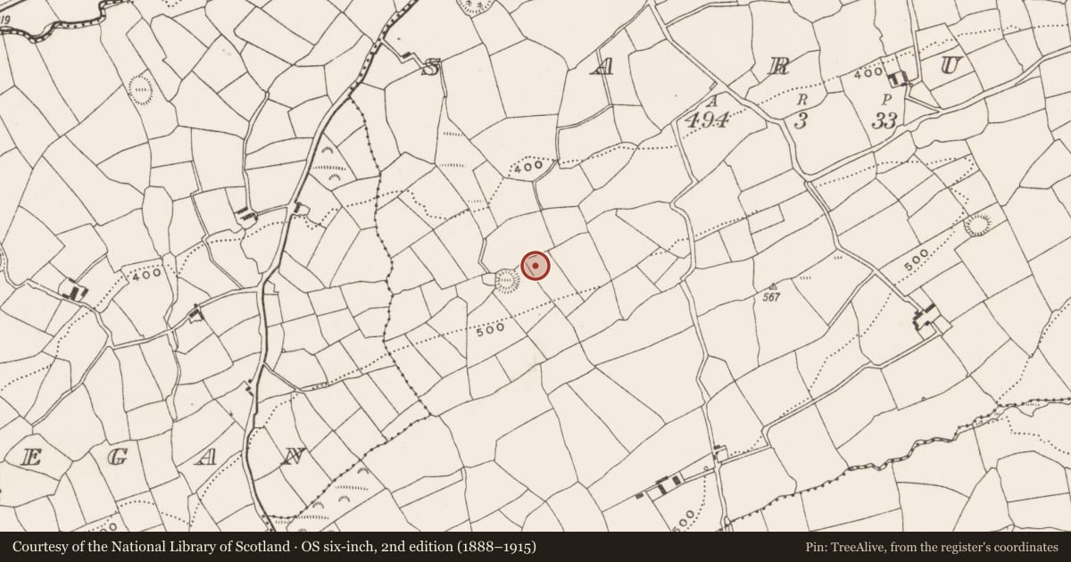 Ordnance Survey six-inch map, 2nd edition (1888–1915) covering the location of Hut site, Sarue, County Cork, with a pin at the register's coordinates