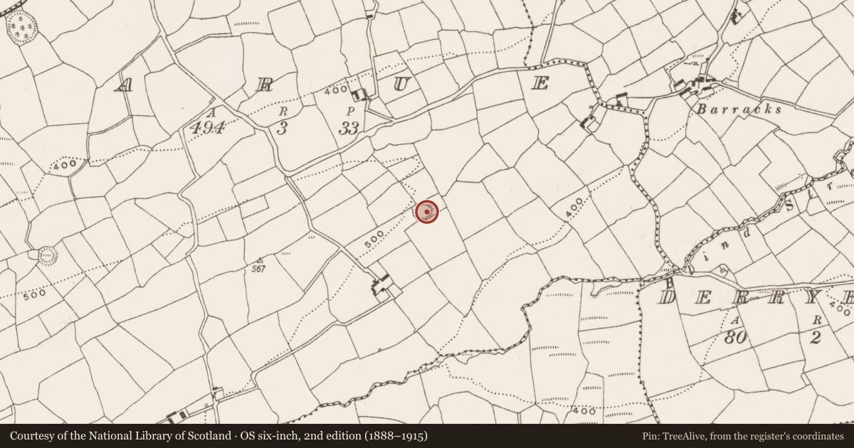 Ordnance Survey six-inch map, 2nd edition (1888–1915) covering the location of Souterrain, Sarue, County Cork, with a pin at the register's coordinates