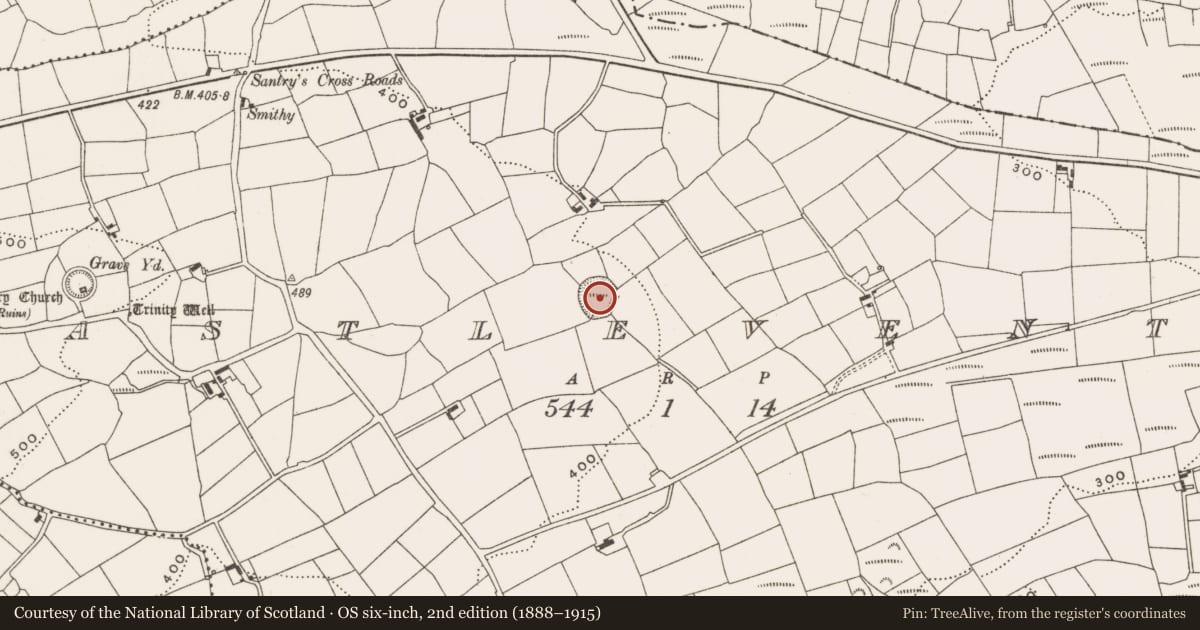 Ordnance Survey six-inch map, 2nd edition (1888–1915) covering the location of Ringfort - rath, Castleventry, County Cork, with a pin at the register's coordinates