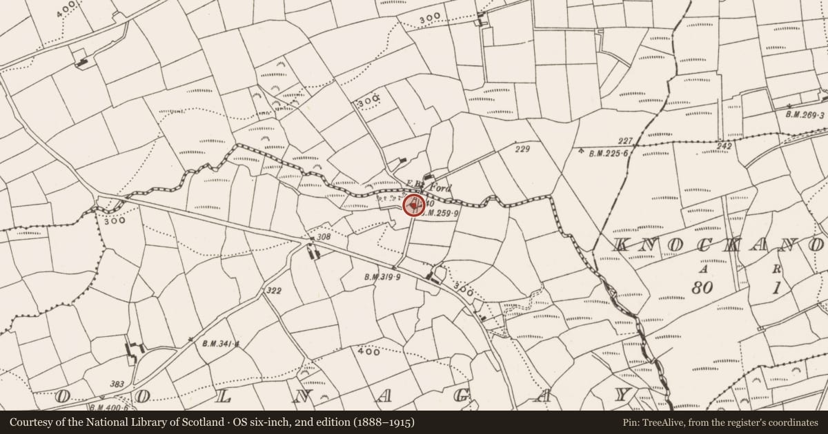 Ordnance Survey six-inch map, 2nd edition (1888–1915) covering the location of Milling complex, Coolnagay, County Cork, with a pin at the register's coordinates