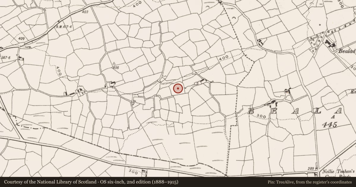 Ordnance Survey six-inch map, 2nd edition (1888–1915) covering the location of Burial ground, Bealad West, County Cork, with a pin at the register's coordinates