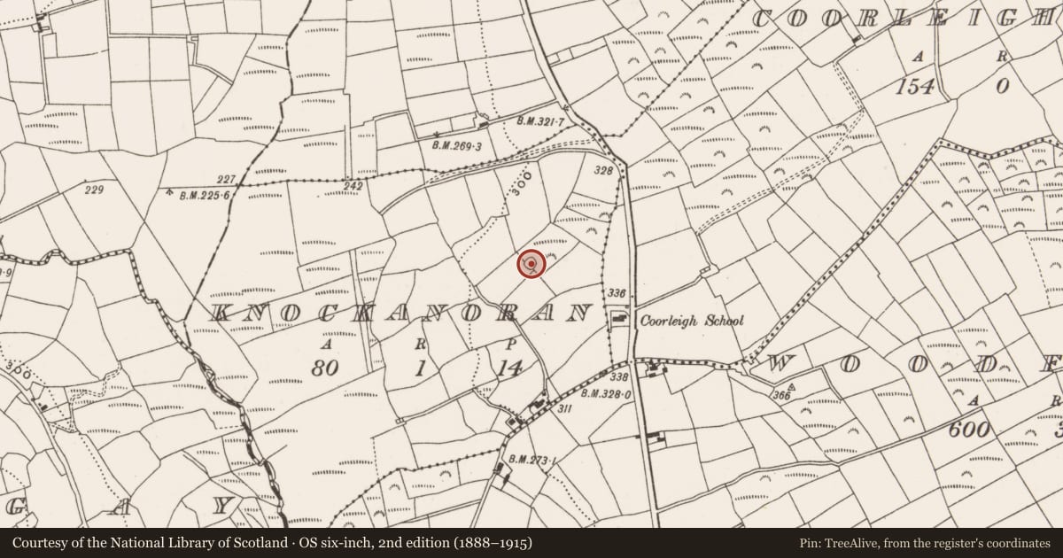 Ordnance Survey six-inch map, 2nd edition (1888–1915) covering the location of Enclosure, Knockanoran, County Cork, with a pin at the register's coordinates