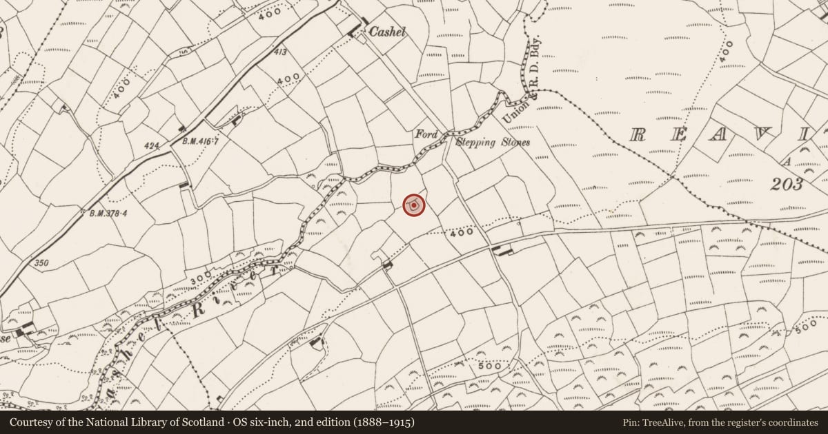 Ordnance Survey six-inch map, 2nd edition (1888–1915) covering the location of Enclosure, Benduff, County Cork, with a pin at the register's coordinates