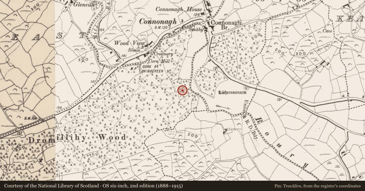 Ordnance Survey six-inch map, 2nd edition (1888–1915) covering the location of Country house, Dromillihy, County Cork, with a pin at the register's coordinates