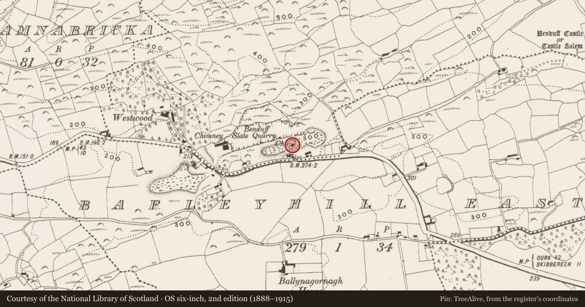 Ordnance Survey six-inch map, 2nd edition (1888–1915) covering the location of Mining complex, Benduff, County Cork, with a pin at the register's coordinates