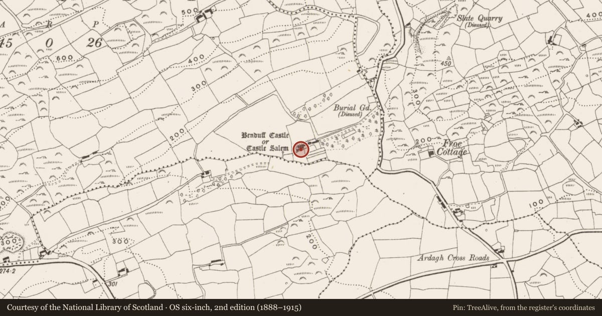 Ordnance Survey six-inch map, 2nd edition (1888–1915) covering the location of Castle - tower house, Benduff, County Cork, with a pin at the register's coordinates