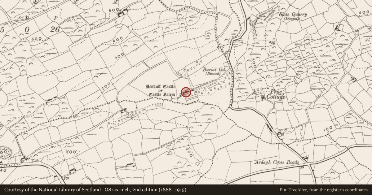 Ordnance Survey six-inch map, 2nd edition (1888–1915) covering the location of Country house, Benduff, County Cork, with a pin at the register's coordinates