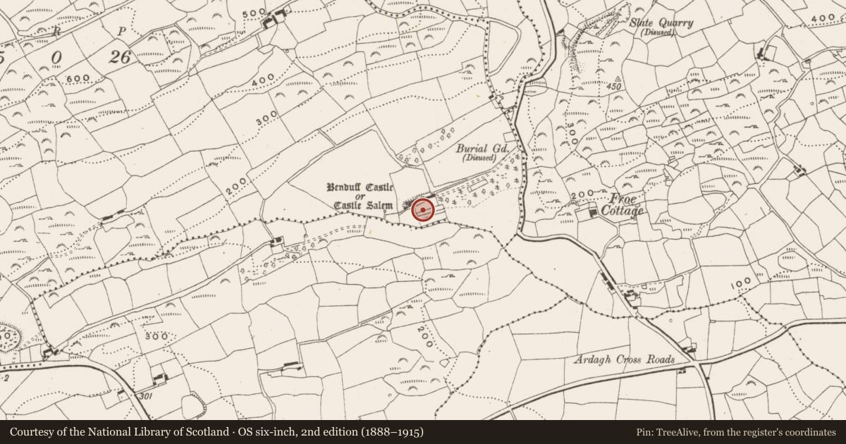 Ordnance Survey six-inch map, 2nd edition (1888–1915) covering the location of Designed landscape feature, Benduff, County Cork, with a pin at the register's coordinates
