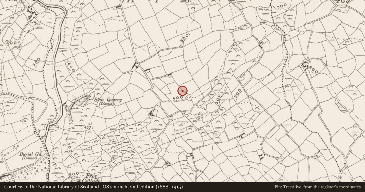 Ordnance Survey six-inch map, 2nd edition (1888–1915) covering the location of Souterrain, Froe, County Cork, with a pin at the register's coordinates