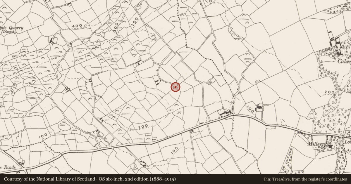 Ordnance Survey six-inch map, 2nd edition (1888–1915) covering the location of Ringfort - rath, Froe, County Cork, with a pin at the register's coordinates
