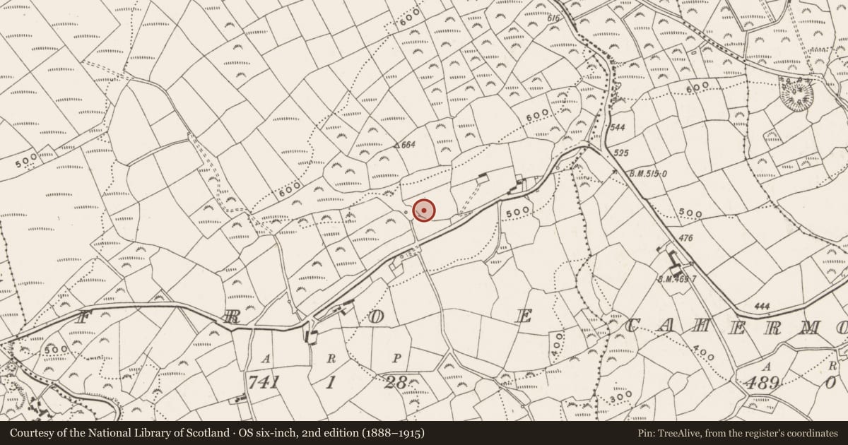 Ordnance Survey six-inch map, 2nd edition (1888–1915) covering the location of Ringfort - rath, Froe, County Cork, with a pin at the register's coordinates