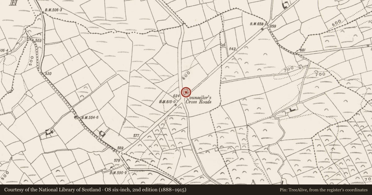 Ordnance Survey six-inch map, 2nd edition (1888–1915) covering the location of Ringfort - rath, Cahermore, County Cork, with a pin at the register's coordinates