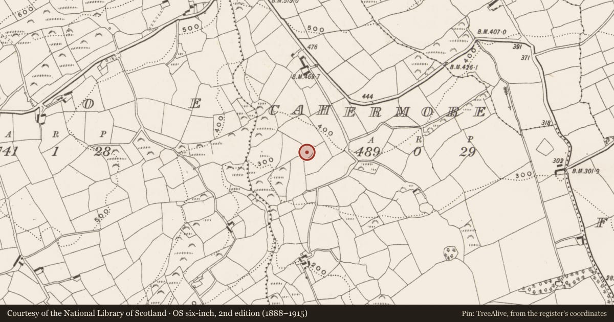 Ordnance Survey six-inch map, 2nd edition (1888–1915) covering the location of Ringfort - rath, Cahermore, County Cork, with a pin at the register's coordinates