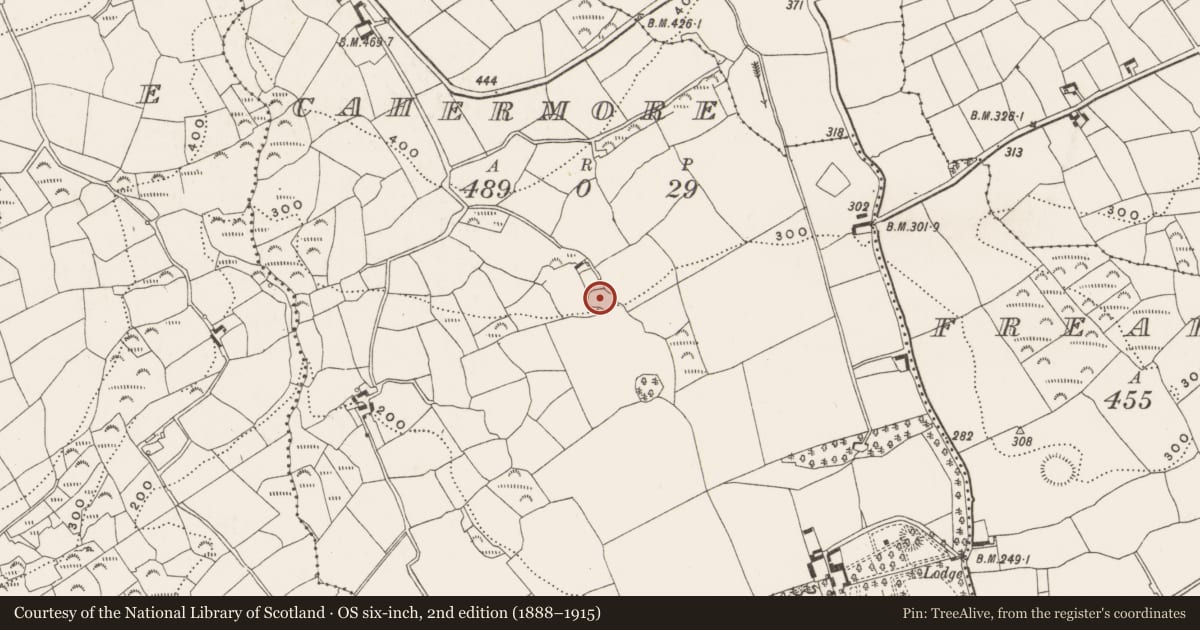 Ordnance Survey six-inch map, 2nd edition (1888–1915) covering the location of Ringfort - rath, Cahermore, County Cork, with a pin at the register's coordinates