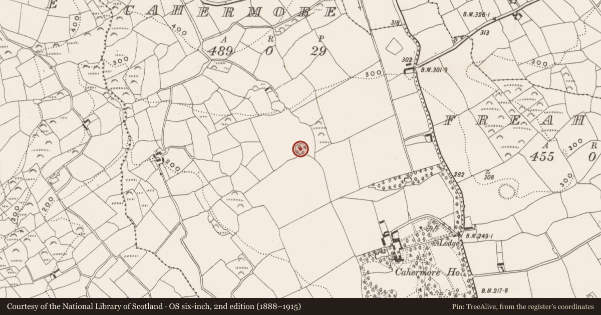 Ordnance Survey six-inch map, 2nd edition (1888–1915) covering the location of Ringfort - rath, Cahermore, County Cork, with a pin at the register's coordinates
