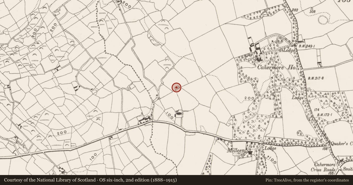 Ordnance Survey six-inch map, 2nd edition (1888–1915) covering the location of Ringfort - rath, Cahermore, County Cork, with a pin at the register's coordinates