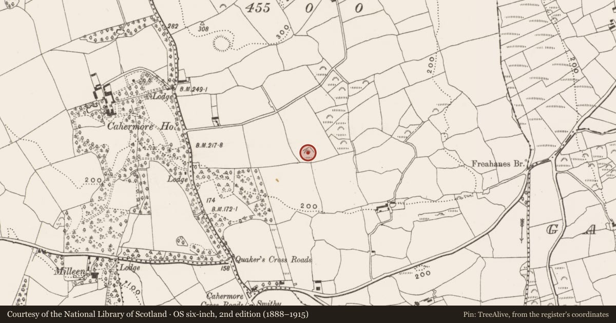 Ordnance Survey six-inch map, 2nd edition (1888–1915) covering the location of Hut site, Freahanes, County Cork, with a pin at the register's coordinates