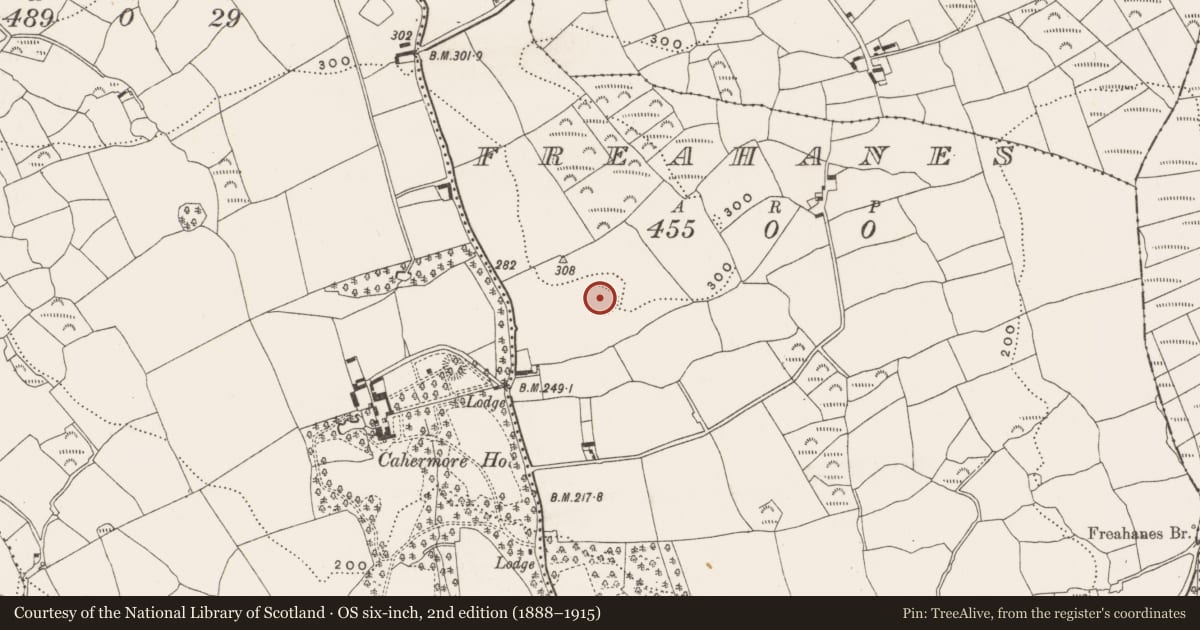 Ordnance Survey six-inch map, 2nd edition (1888–1915) covering the location of Ringfort - rath, Freahanes, County Cork, with a pin at the register's coordinates