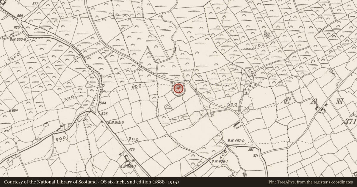 Ordnance Survey six-inch map, 2nd edition (1888–1915) covering the location of Hut site, Freahanes, County Cork, with a pin at the register's coordinates