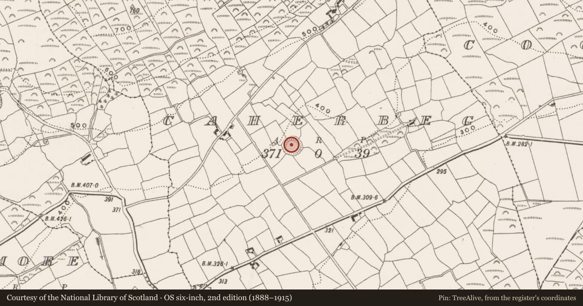 Ordnance Survey six-inch map, 2nd edition (1888–1915) covering the location of Ringfort - rath, Caherbeg, County Cork, with a pin at the register's coordinates