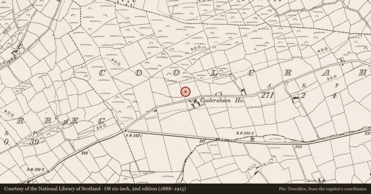 Ordnance Survey six-inch map, 2nd edition (1888–1915) covering the location of Standing stone, Coolcraheen, County Cork, with a pin at the register's coordinates