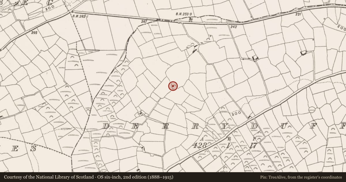 Ordnance Survey six-inch map, 2nd edition (1888–1915) covering the location of Ringfort - rath, Derryduff, County Cork, with a pin at the register's coordinates