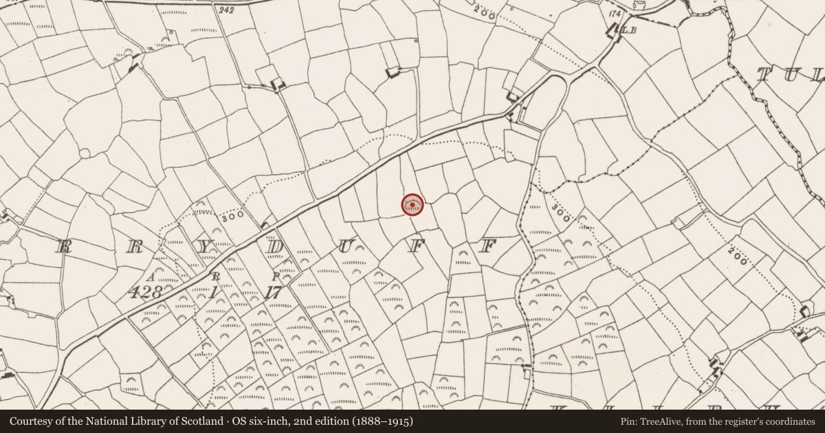 Ordnance Survey six-inch map, 2nd edition (1888–1915) covering the location of Ringfort - rath, Derryduff, County Cork, with a pin at the register's coordinates