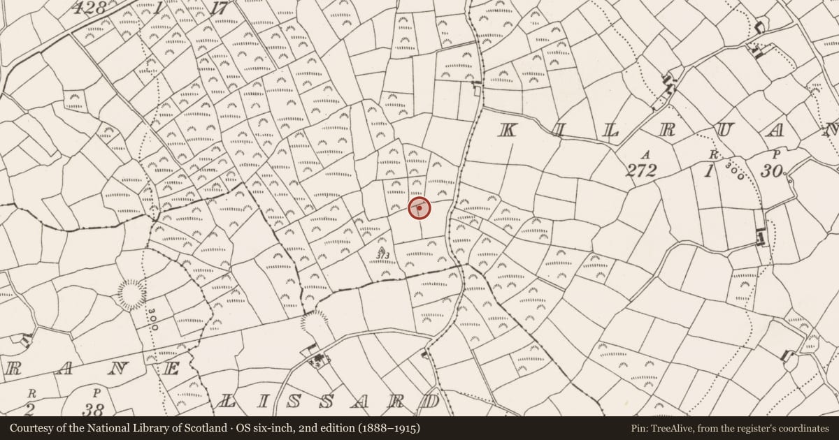 Ordnance Survey six-inch map, 2nd edition (1888–1915) covering the location of Standing stone, Derryduff, County Cork, with a pin at the register's coordinates