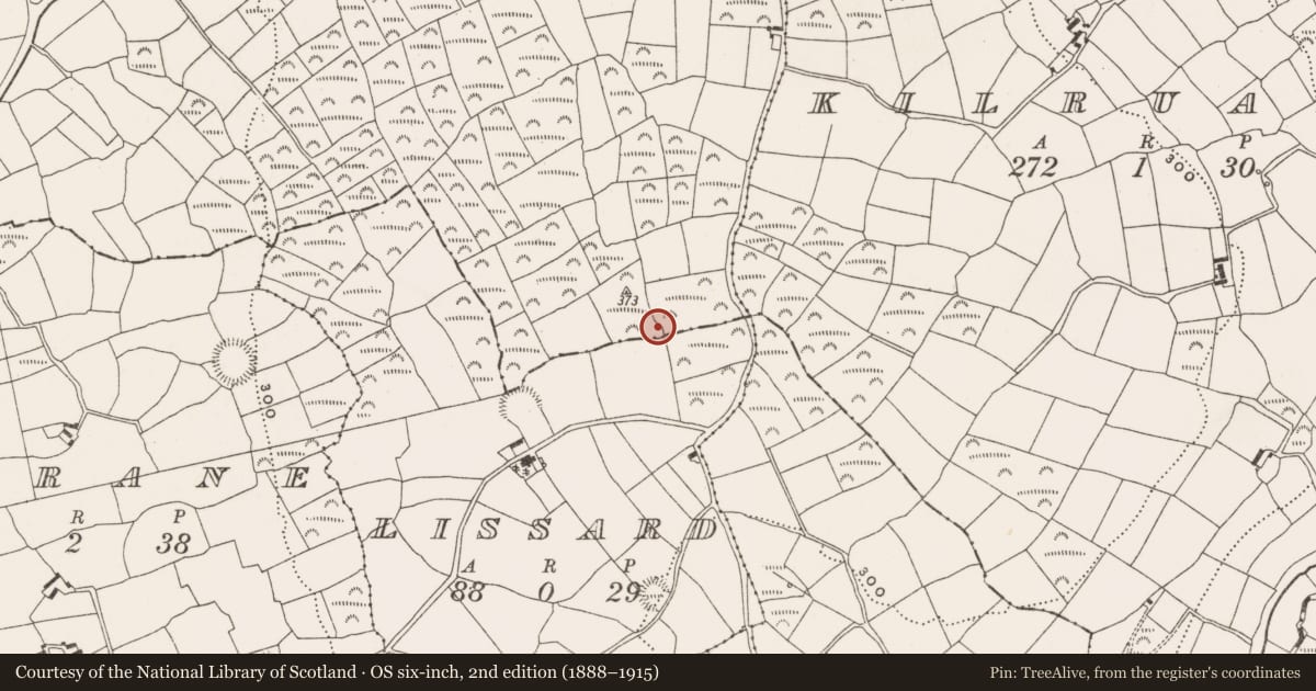 Ordnance Survey six-inch map, 2nd edition (1888–1915) covering the location of Ringfort - rath, Derryduff, County Cork, with a pin at the register's coordinates